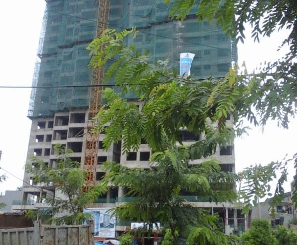 du-an-vien-chien-luoc